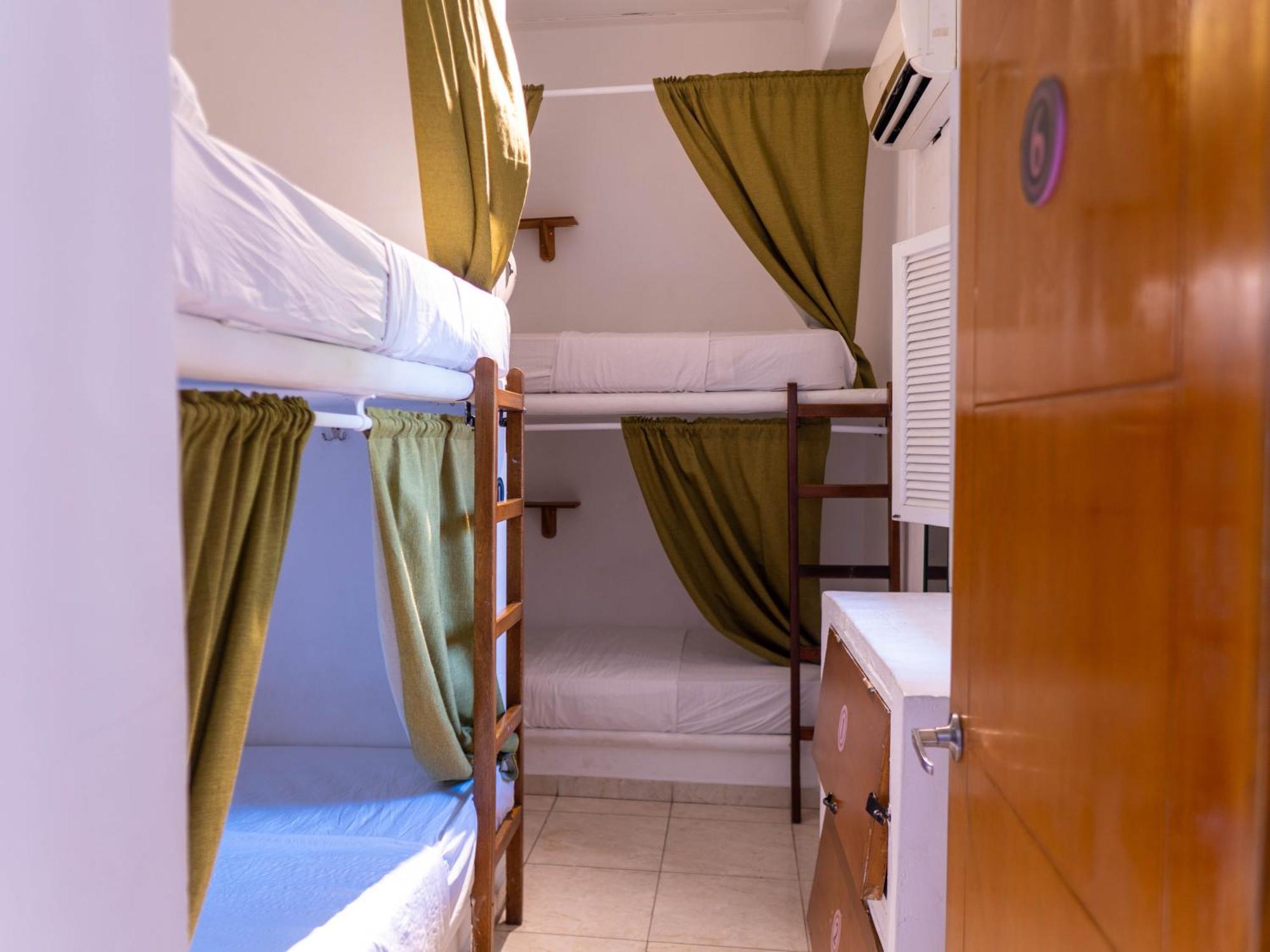 Bett im gemischten Schlafsaal mit 4 Betten