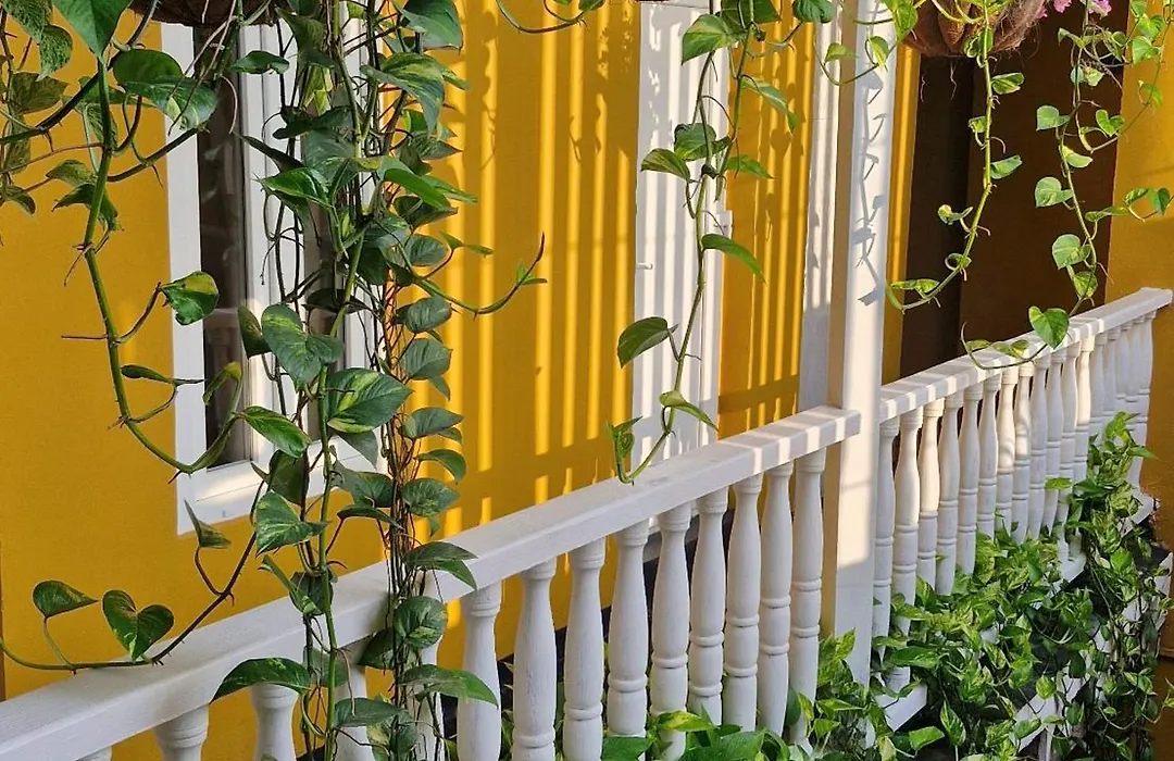 Maloka Boutique Centro Historico (Adults Only)-1